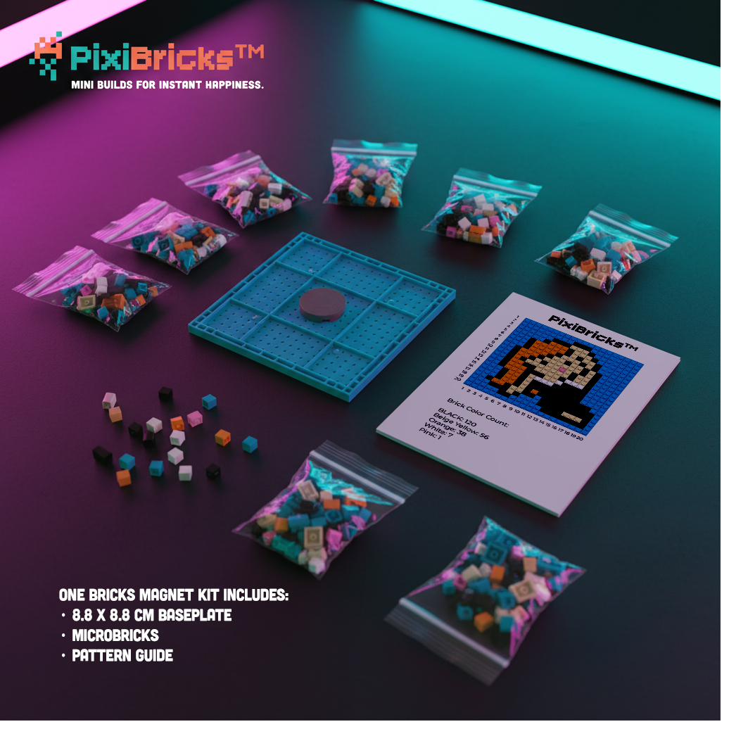 What is inside a PixiBricks kit